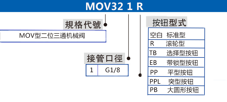 MOV32 拷貝.jpg